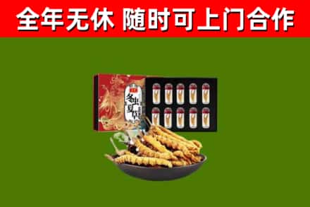 霍邱回收冬虫夏草价格